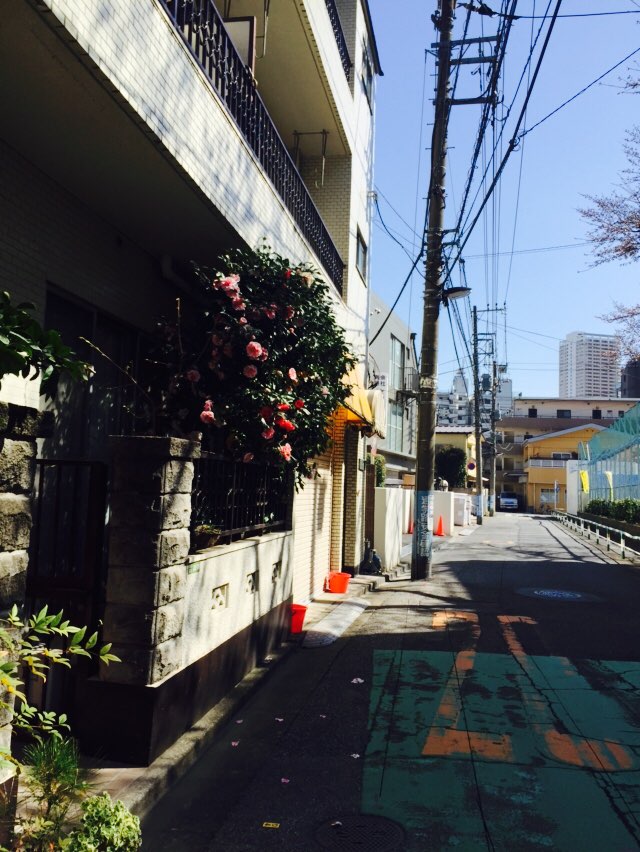 KakaoTalk_20150412_221216370 (1).jpg