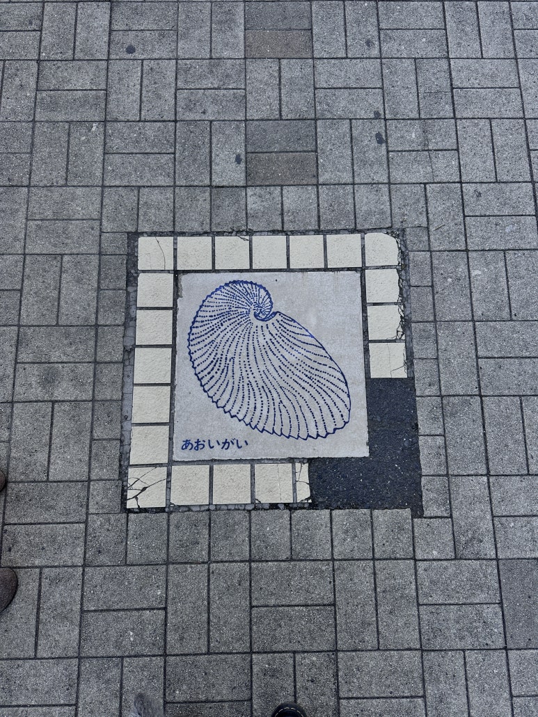 ��ī��ī�� �ı�_251217_4.jpeg