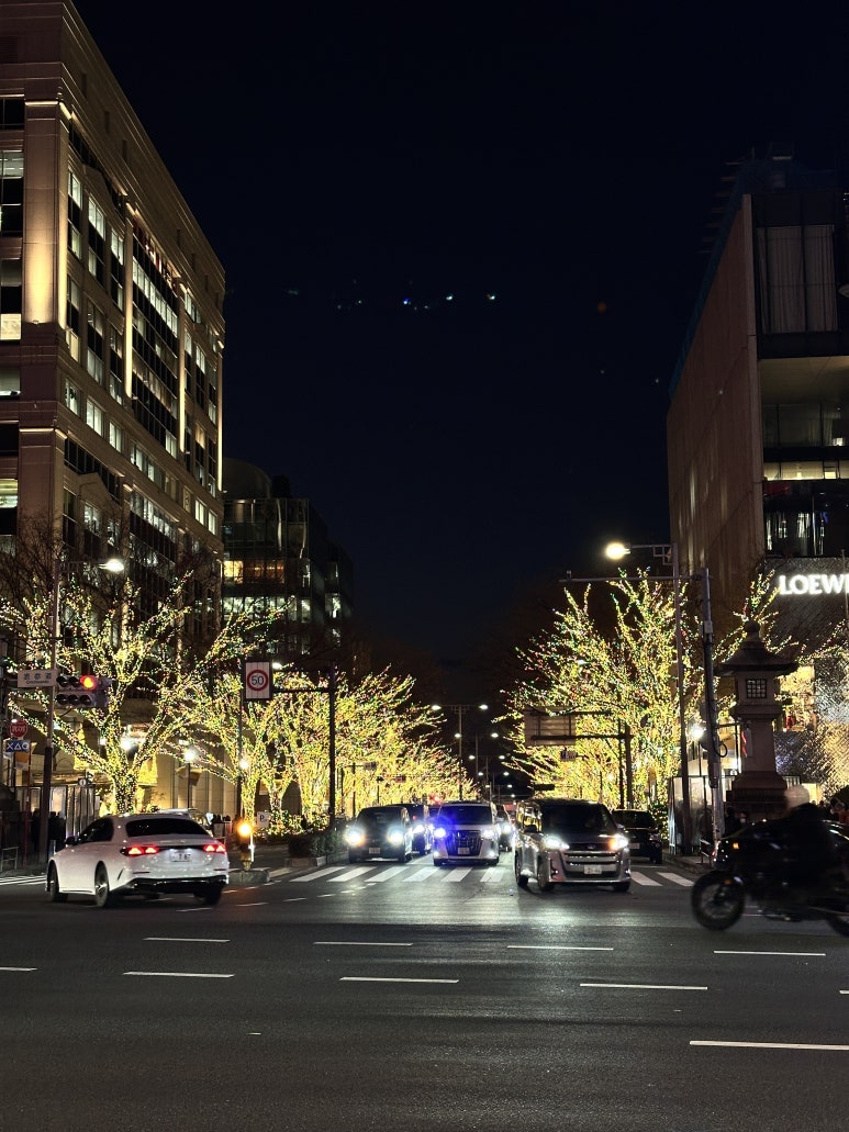 ¾ÆÄ«¸ùÄ«ÀÌÀϺ»¾îÇб³ Èıâ (2).jpeg