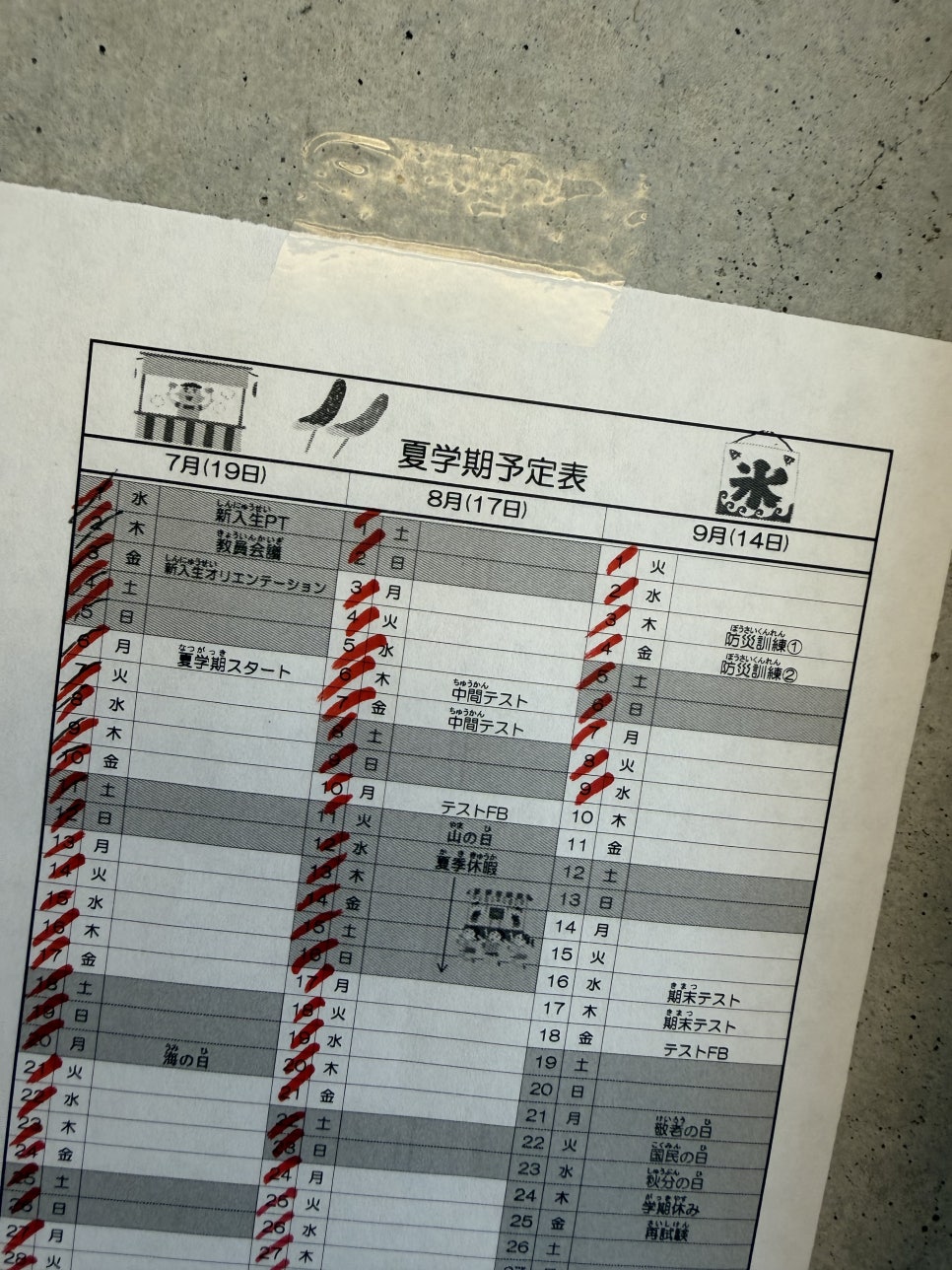 ts��������������(5).jpg